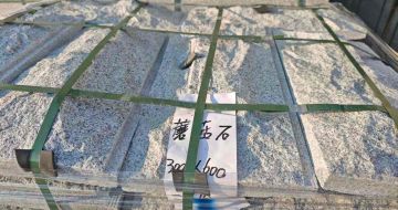 林芝芝麻白蘑菇石，自然面