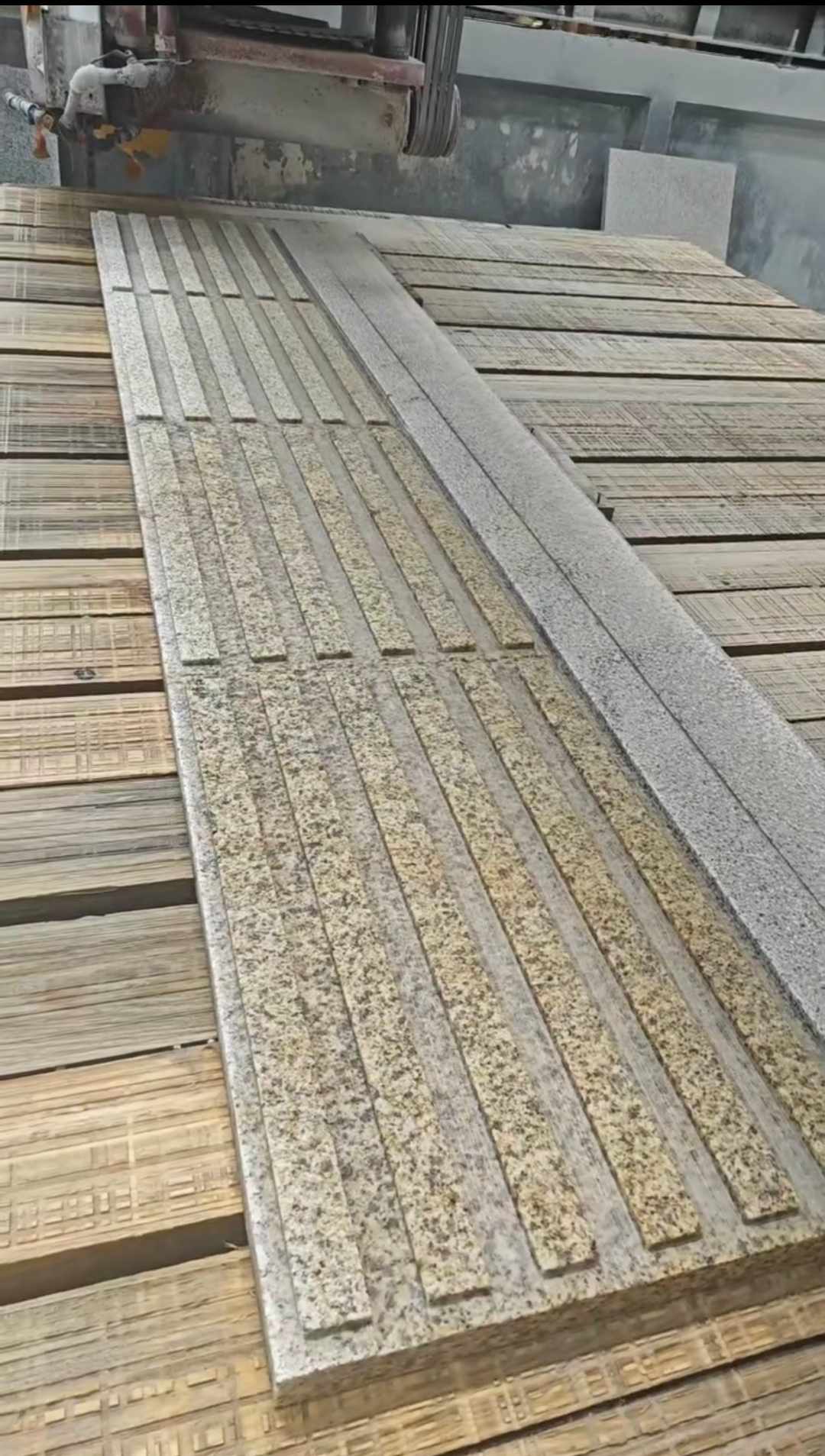 林芝黄金麻盲道石 盲条